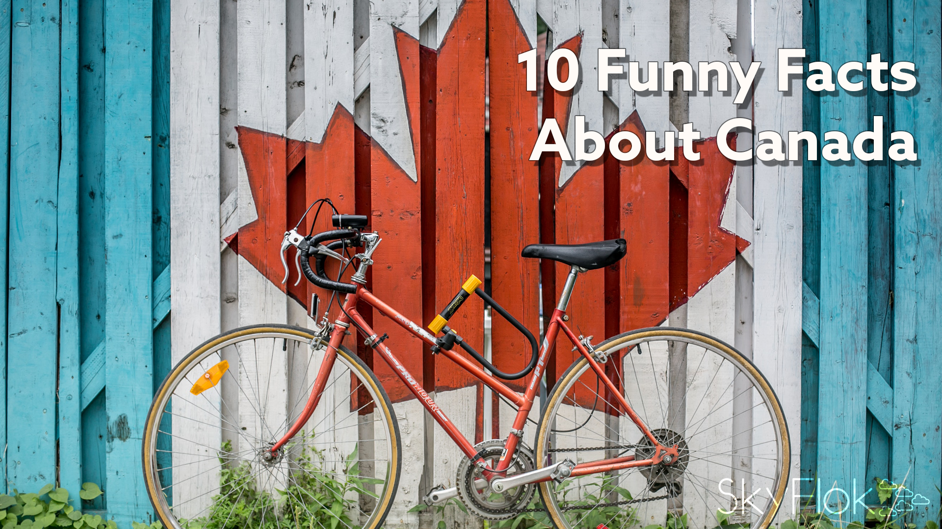 Read more about the article 10 funny facts about Canada