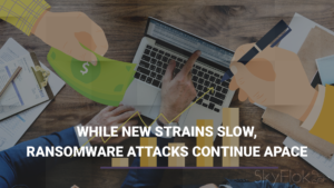 Read more about the article While New Strains Slow, Ransomware Attacks Continue Apace