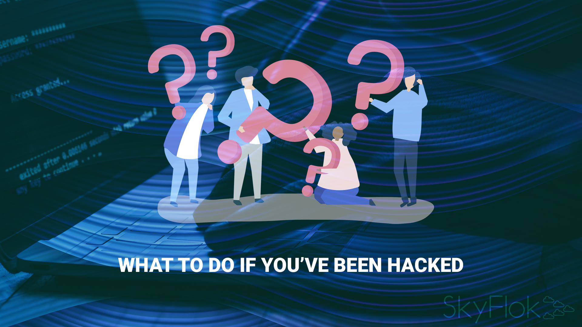 What To Do If You’ve Been Hacked