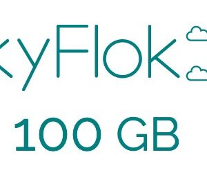 100 GB Monthly